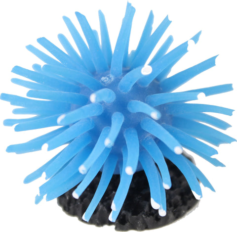 Poppy Pet - Sea Anemone