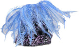 Poppy Pet - Hairy Soft Coral Aerator