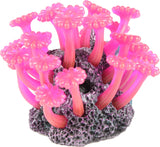 Poppy Pet - Button Polyp Aerator