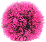 Poppy Pet - Moss Ball