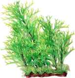 Poppy Pet - Sea Fern Aquarium Plant