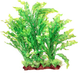 Poppy Pet - Specimen Ruffed Sword Aquarium Plant