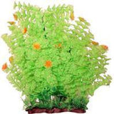 Poppy Pet - Extra Wide Bushy Ambulia Aquarium Plant