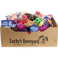 Petsport - Luckys Boneyard Tear Away Carton Display