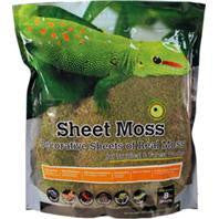 Galapagos - Sheet Moss Decorative