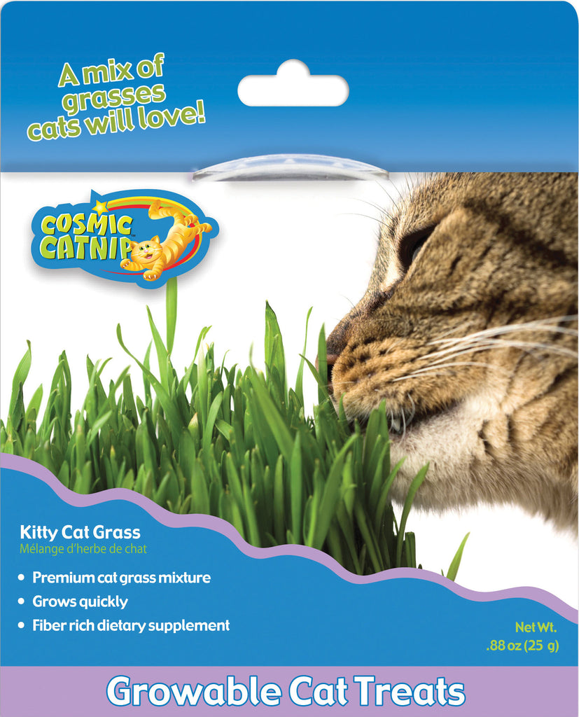 Ourpets Company - Cosmic Growables Catnip