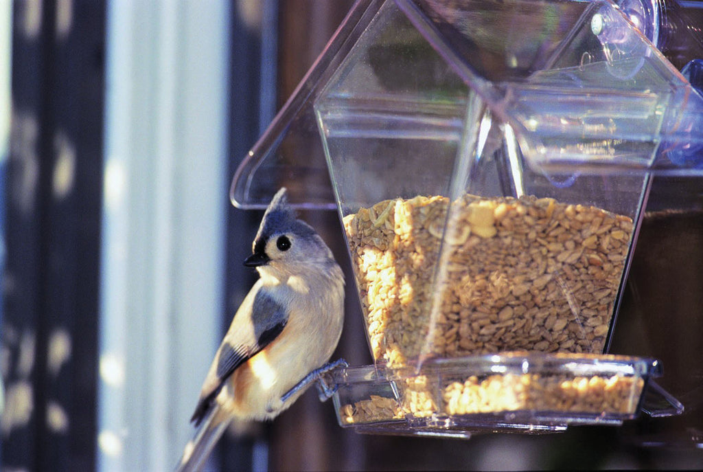 Aspects Inc - Window Cafe Bird Feeder