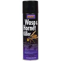 Bug &amp; Insect Control - Wasp And Hornets