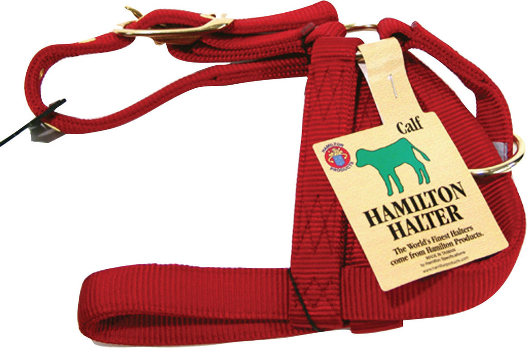 Hamilton Halter Company - Turnout Halter