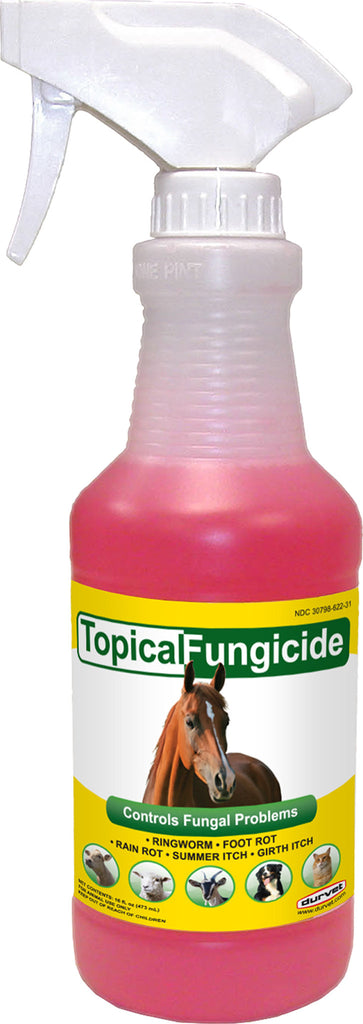 Durvet/equine           D - Topical Fungicide W/spry Qt* 12