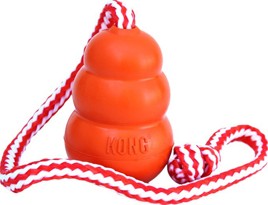 Kong Company - Aqua Kong Dog Toy