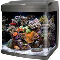 Aqueon Products - Glass - Coralife Bio Cube Led Aquarium