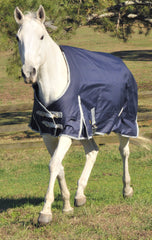 Equine Tack &amp; Other Equipment - Blankets &amp; Saddle Pads