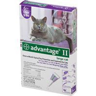 F.c.e. Inc              D - Advantage 2 Cat