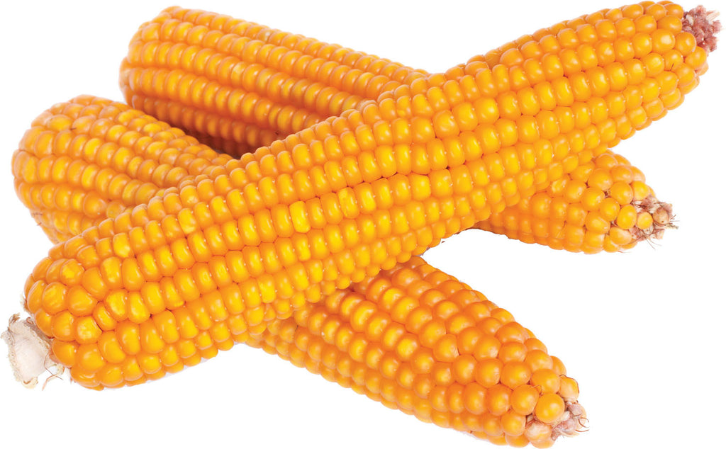 Shafer Seed - Wagner's Cob Corn Premium Wildlife Product