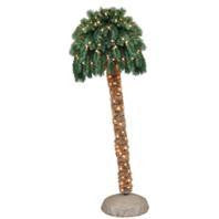 Beckett Corp - Lighted Palm Tree