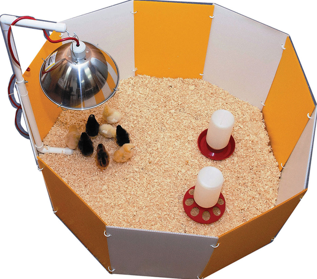 Farm Innovators-farm - Baby Chick Starter Home