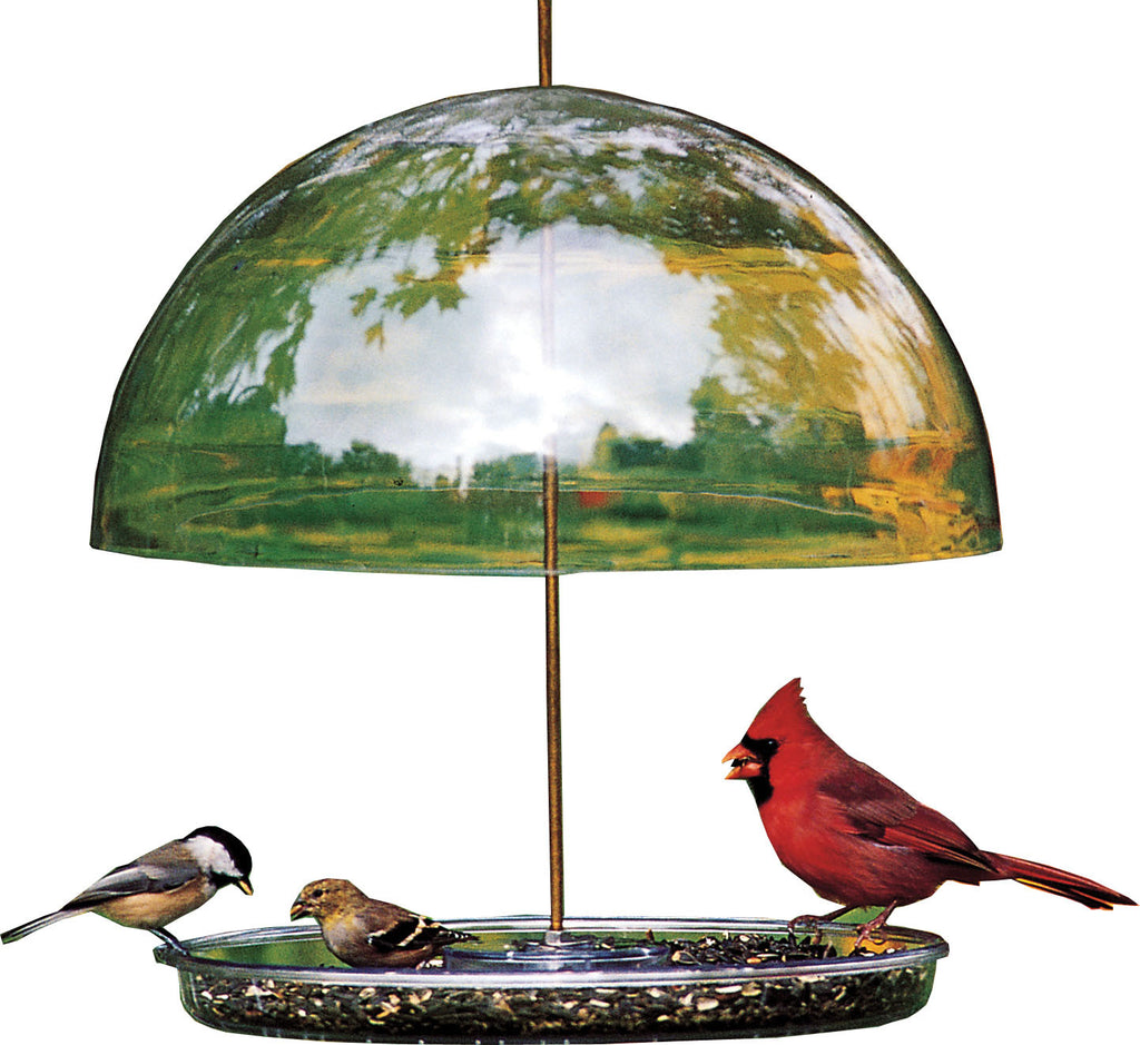 Droll Yankees Inc - Dorothy's Cardinal Feeder