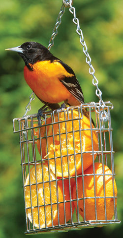 Droll Yankees Inc - Premium Single Suet Feeder