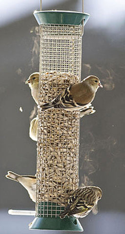 Droll Yankees Inc - New Generation Peanut Feeder