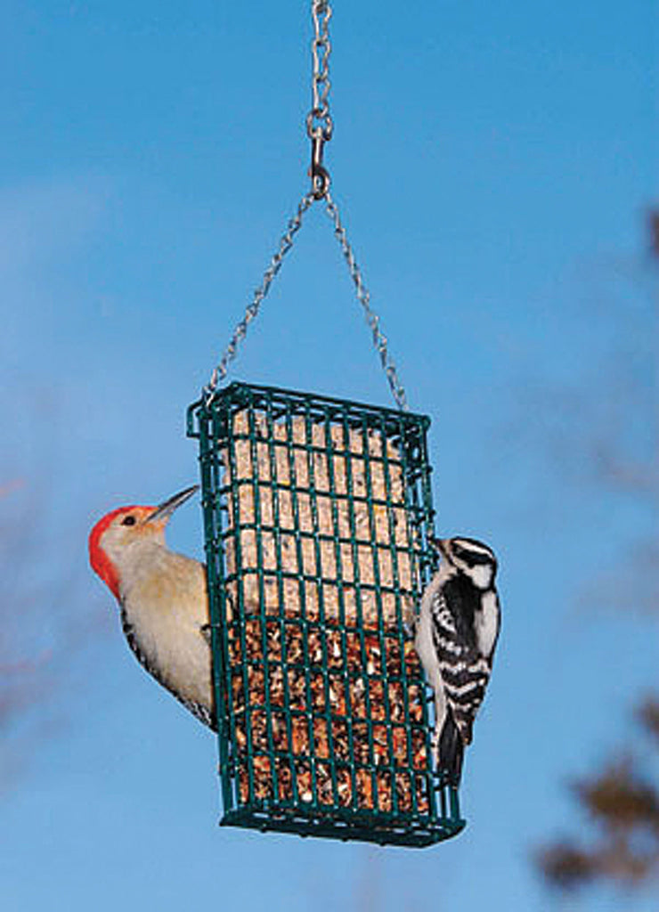 Droll Yankees Inc - Double Suet Feeder