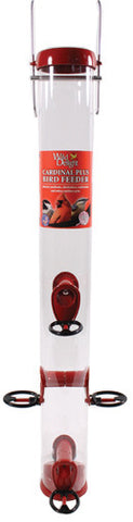 Droll Yankees Inc - Wild Delight Cardinal Plus Feeder