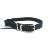 Hamilton Pet Company - Single Thick Nylon Dog Collar