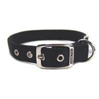 Hamilton Pet Company - Double Thick Nylon Dog Collar