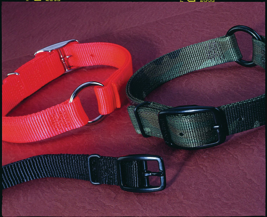 Hamilton Pet Company - Safe-rite Dog Collar With Tape