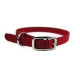 Hamilton Pet Company - Single Thick Nylon Dog Collar