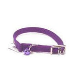 Hamilton Pet Company - Braided Safety Cat Collar