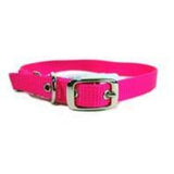 Hamilton Pet Company - Single Thick Nylon Dog Collar