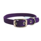 Hamilton Pet Company - Single Thick Nylon Dog Collar