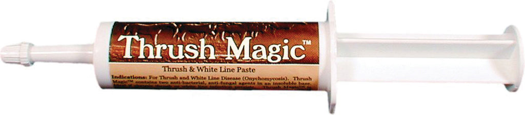 Animal Healthcare Lab Inc - Thrush Magic Hoof Paste For Horses