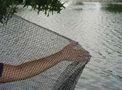 Dewitt Company          P - Pond Netting