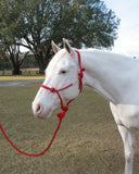 Hamilton Halter Company - Adult Horse Rope Halter With Lead