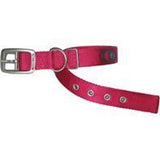 Hamilton Pet Company - Double Thick Nylon Dog Collar