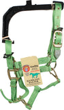 Hamilton Halter Company - 1-inch Adjustable Chin Strap Halter With Snap