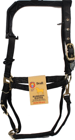 Hamilton Halter Company - 1-inch Adjustable Chin Strap Halter With Snap