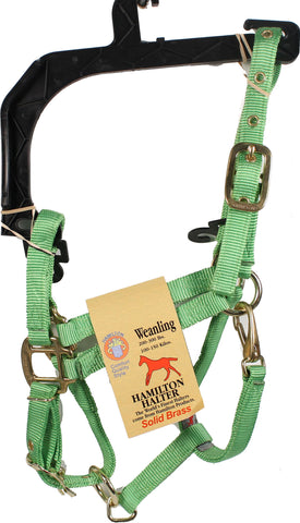 Hamilton Halter Company - 3/4-inch Adjustable Chin Strap Halter With Snap