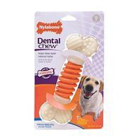 Nylabone Corp (bones) - Dental Chew Pro Action