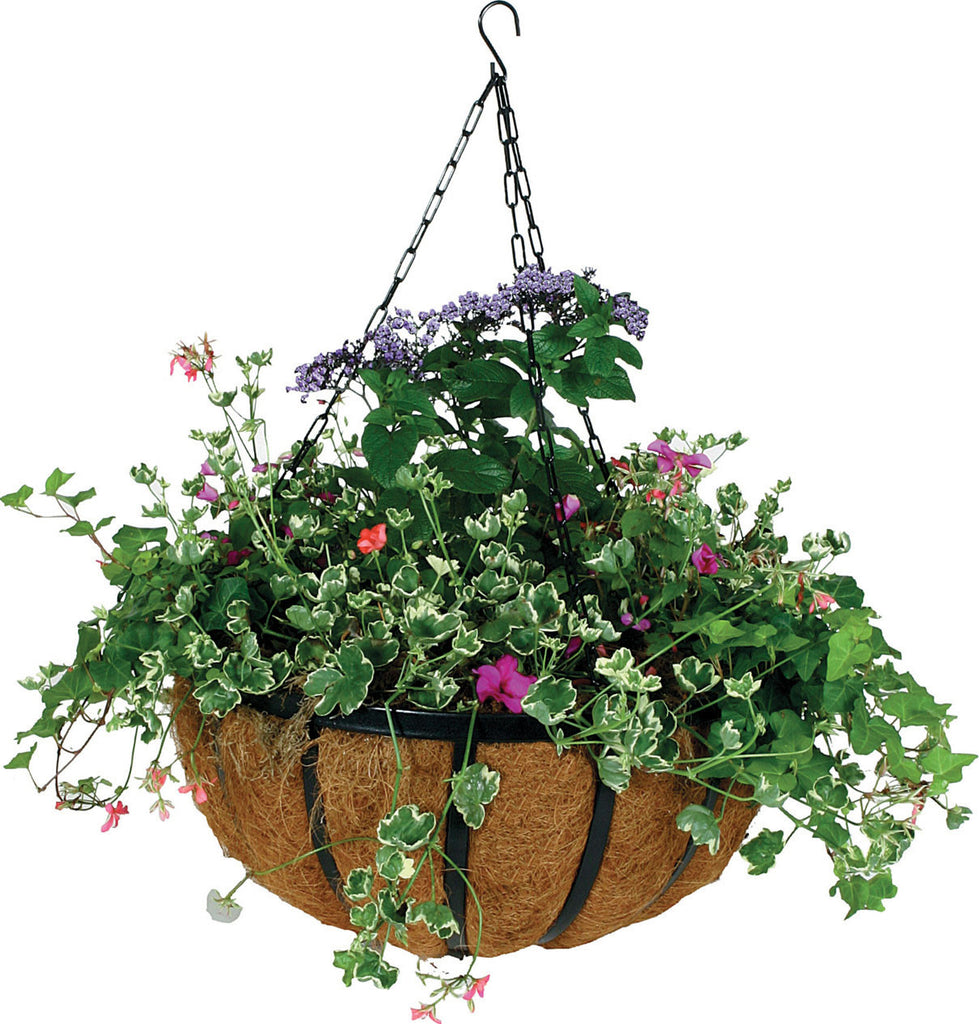 World Source Partners - Forge Hanging Basket With Coco Liner