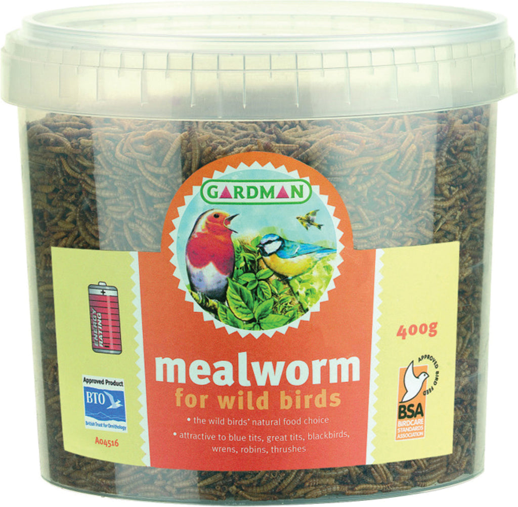 World Source Partners - Mealworms Bag