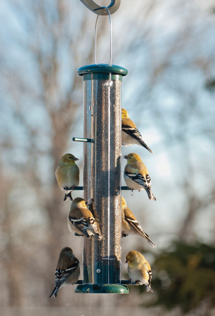 Audubon/woodlink - Finch Tube Feeder