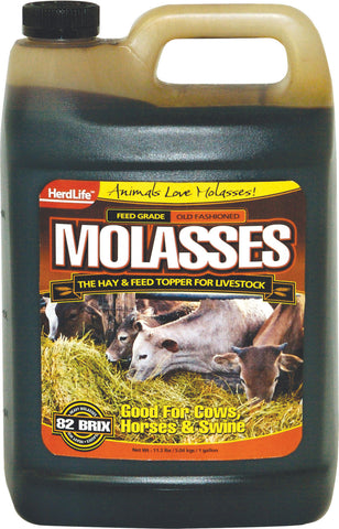 Evolved - Molasses Livestock