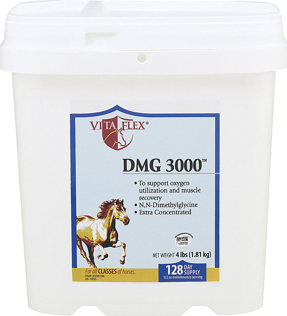 Farnam Co - Vitaflex - Dmg 3000 Conc. Performance Supplement For Horses