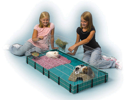 Midwest Homes For Pets - Guinea Habitat