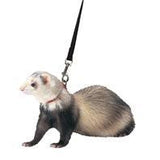 Marshall Pet Products - Ferret Harness And Lead