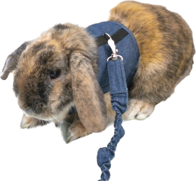 Marshall Pet Products - Rabbit Walking Jacket