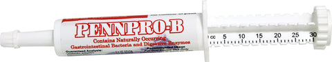 Pennwoods Equine Products - Penn Pro B Probiotics Tube